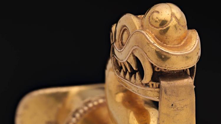 13161717_10154130524955979_1589079531376254394_o